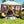 Luxury festival camping tent setup with chairs, solar panels, and Best in Tents logo outdoors